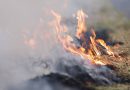 С 17 апреля на территории Оренбургской области установлен пожароопасный сезон