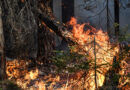 Более 6000 пожаров произошло в Оренбуржье с начала года