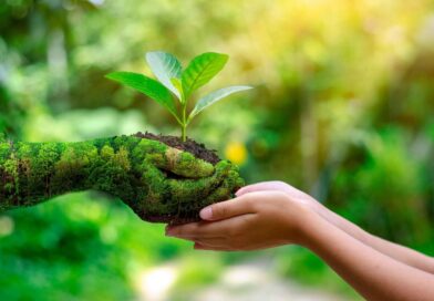 «Новый Поток» помогает воспитывать ответственных природопользователей